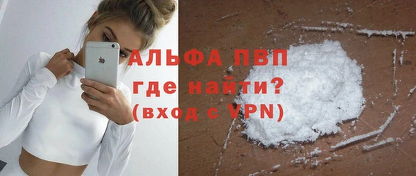 гашик Билибино