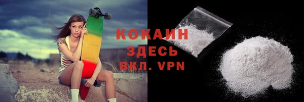 гашик Билибино