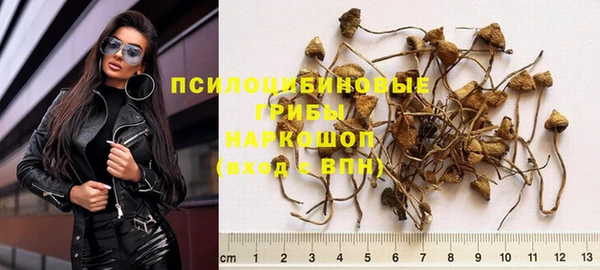 мяу мяу мука Бикин